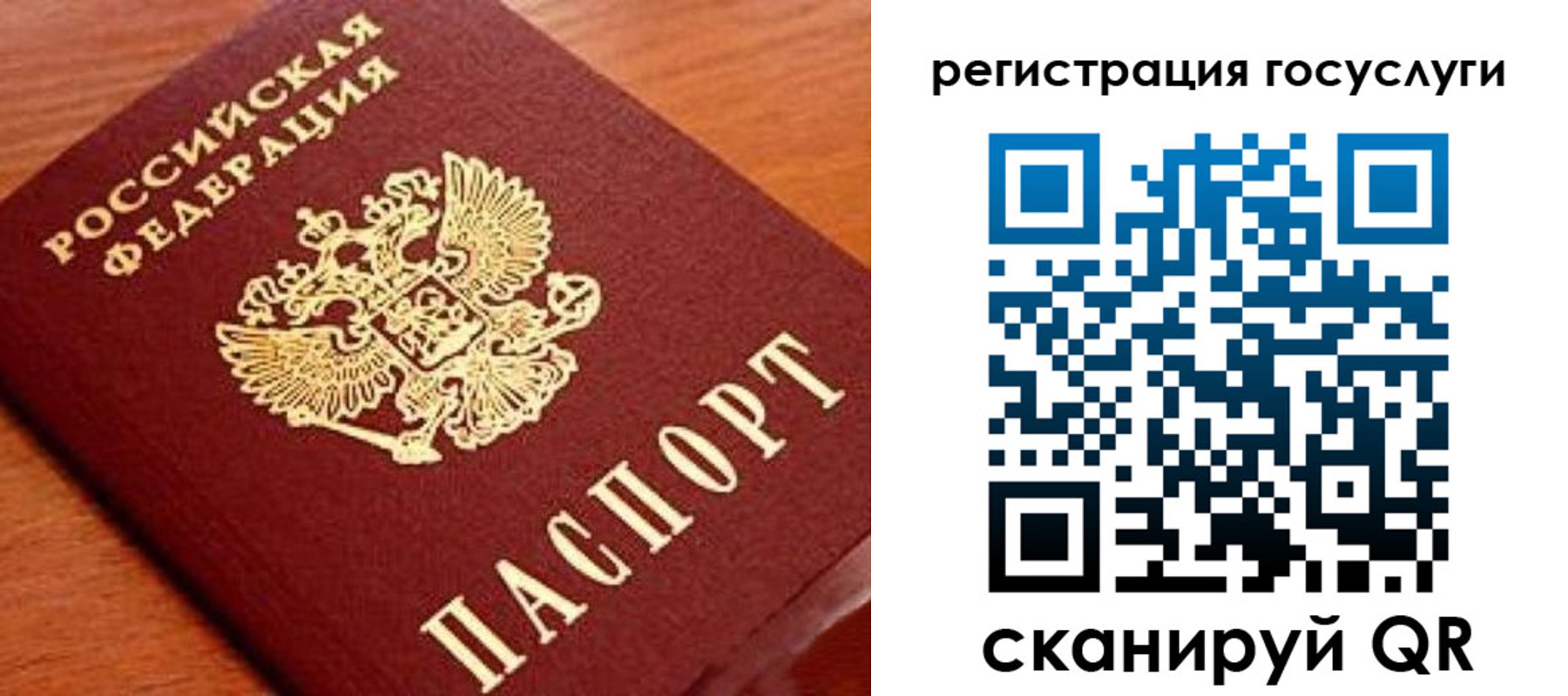 прописка иностранных граждан в Калужской области